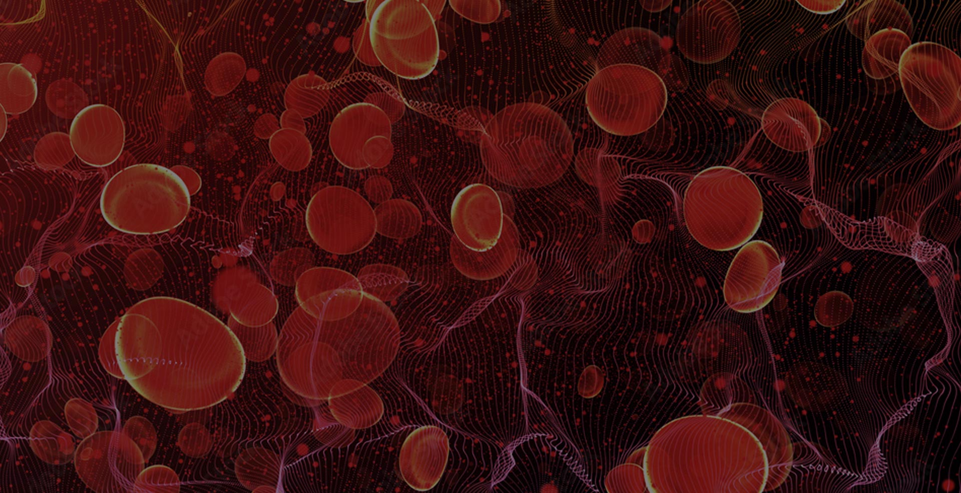 Blood cells